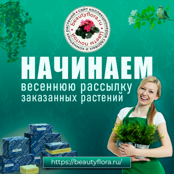 BF НАЧИНАЕМ.png